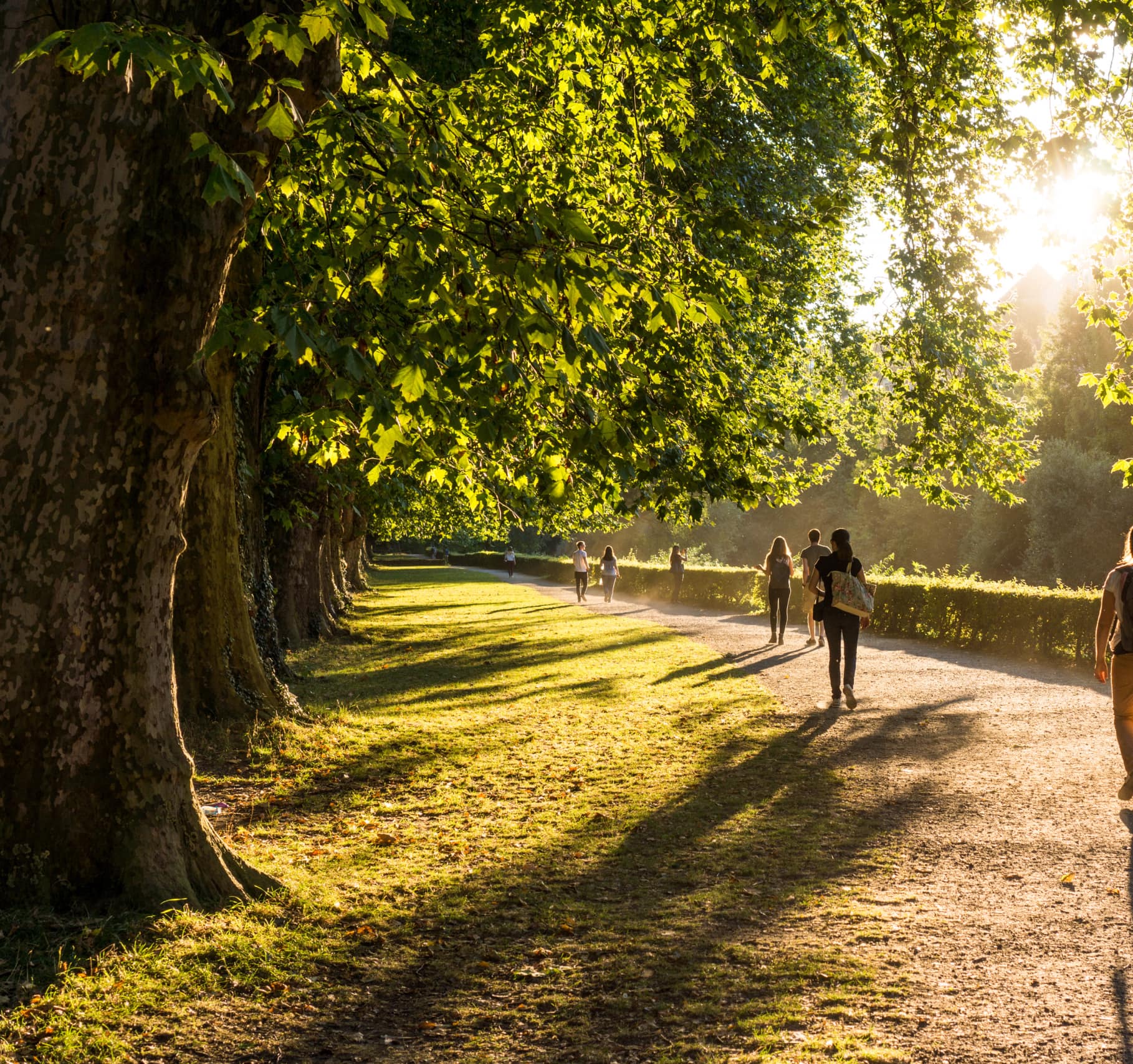 Lal Bahadur Shastri Lake Park