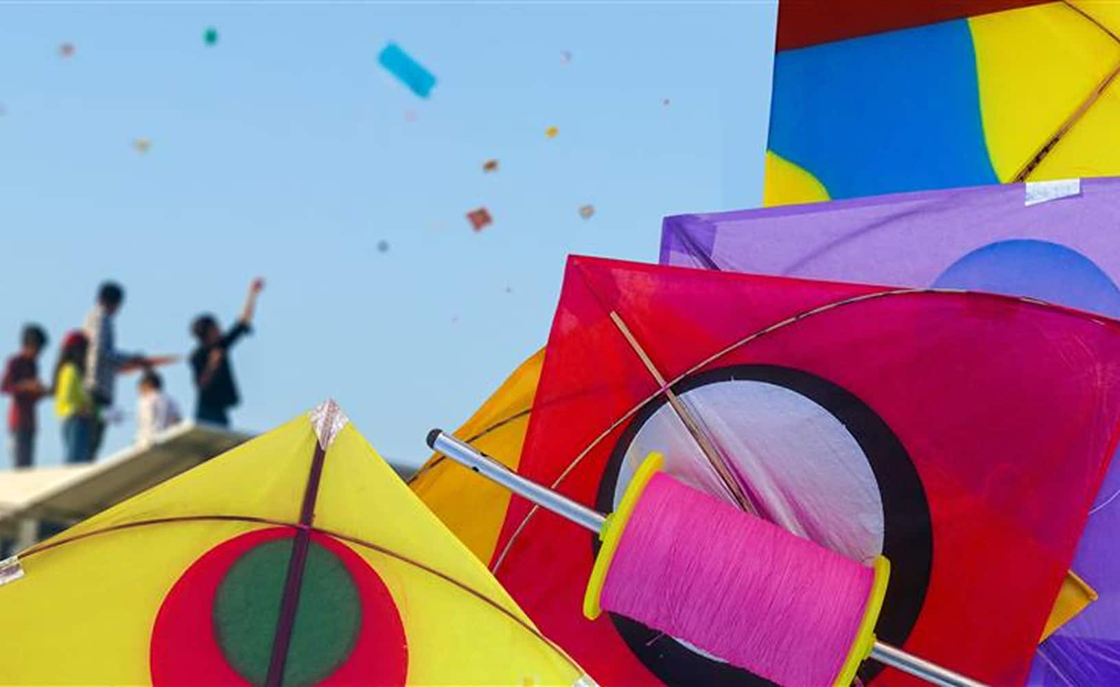 Makar Sankranti / Kite Festival