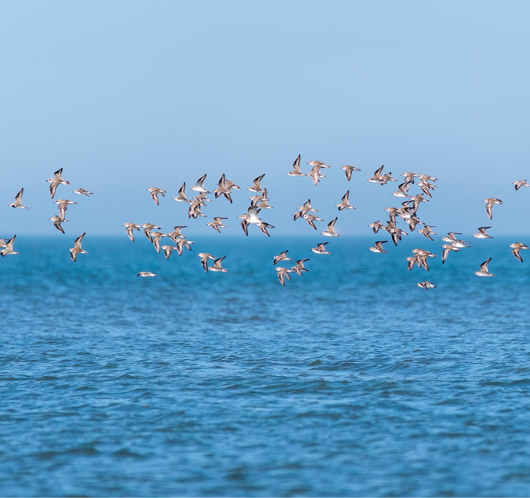 Marine National Park, Narara (near Jamnagar)