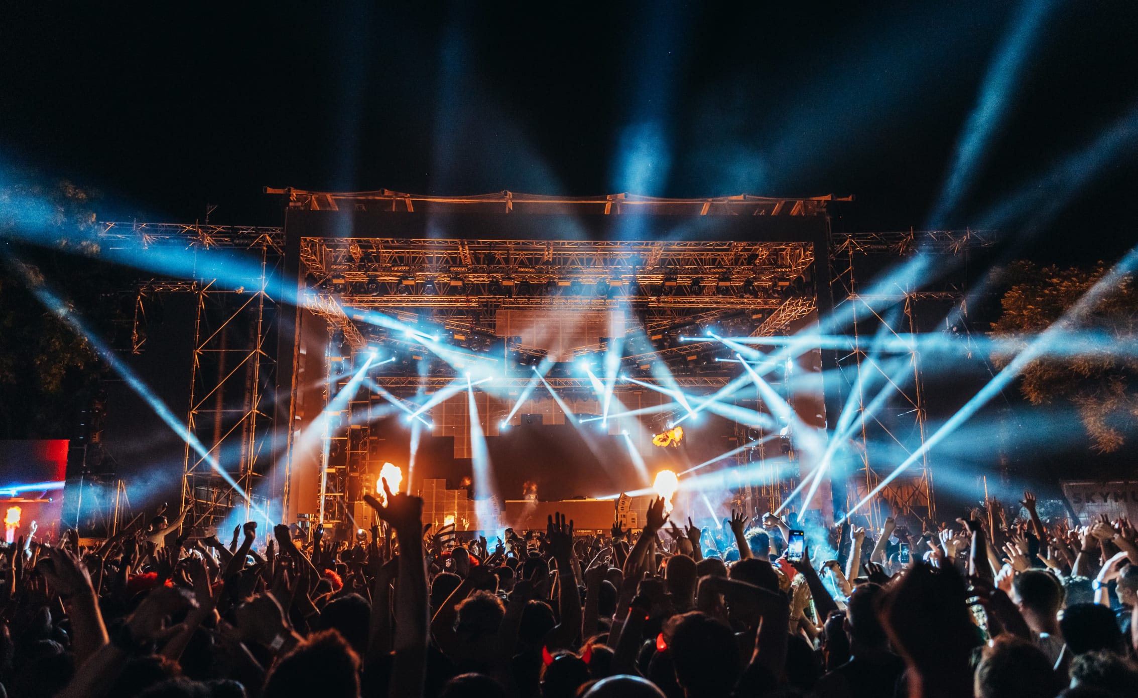 Sunburn Festival