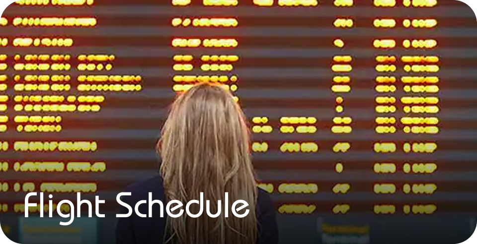 Flight Schedule