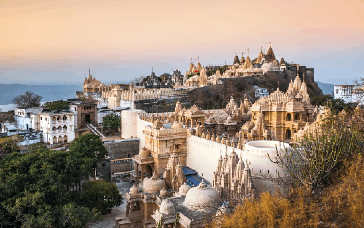 Main
                  Image