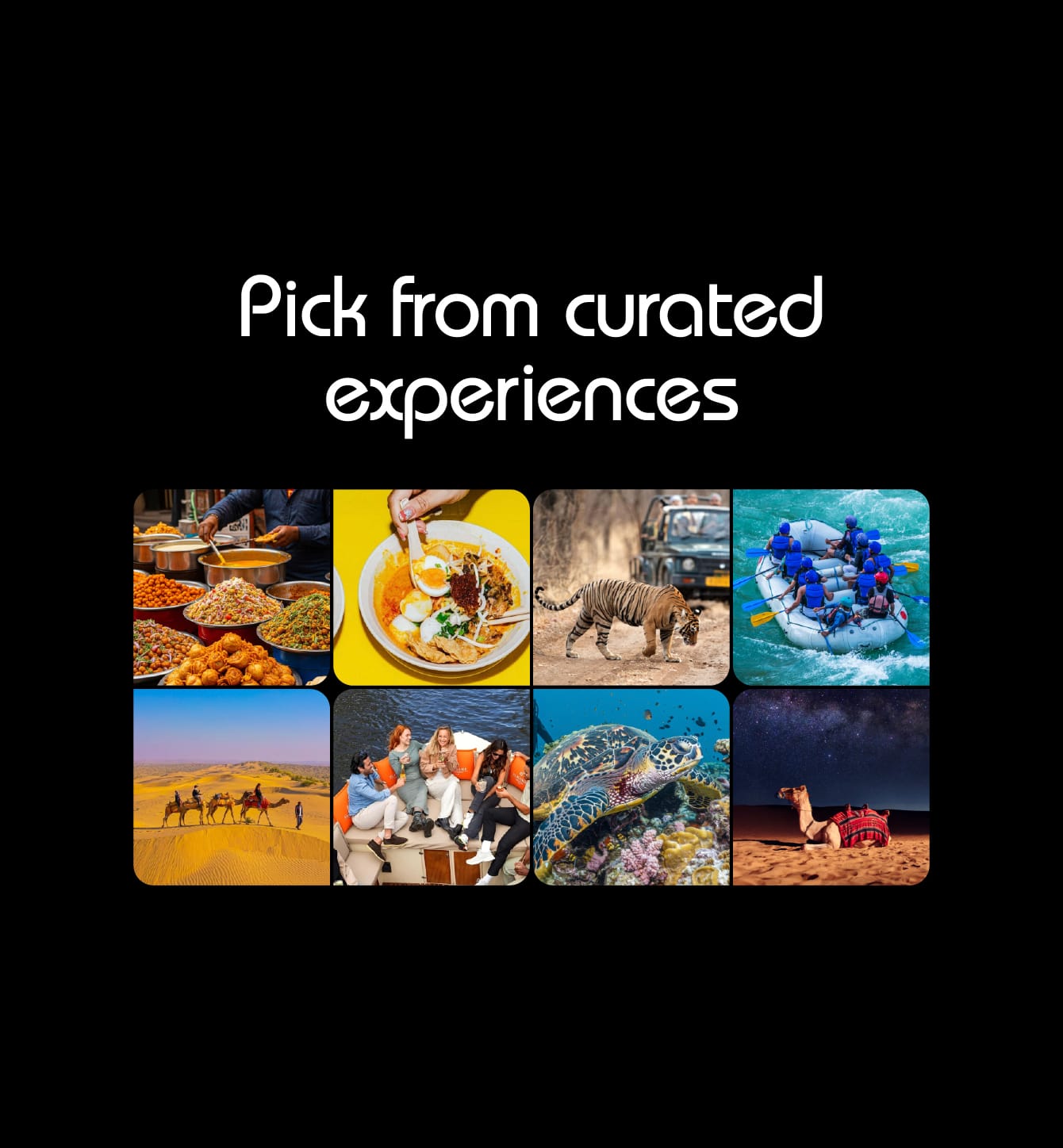 Choose from multiple activities