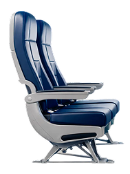 economySeat