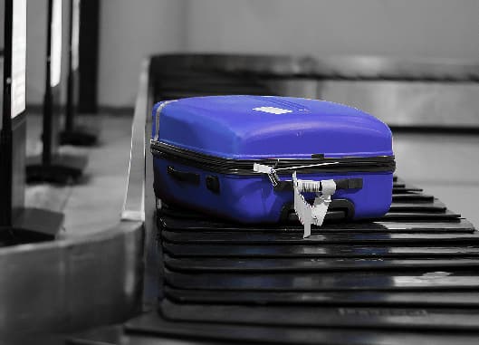 Delayed & Lost Baggage Protection
